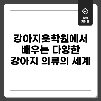 강아지옷학원에서 배우는 다양한 강아지 의류의 세계