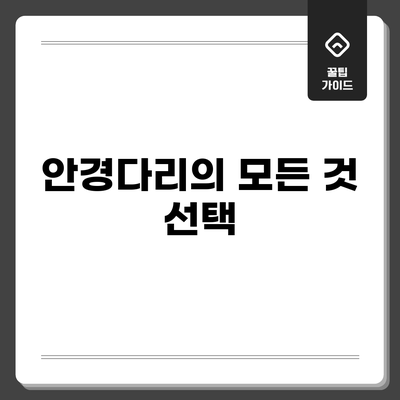 안경다리의 모든 것: 선택