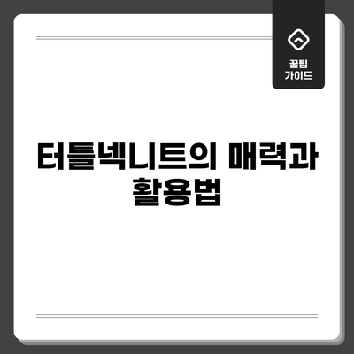 터틀넥니트의 매력과 활용법