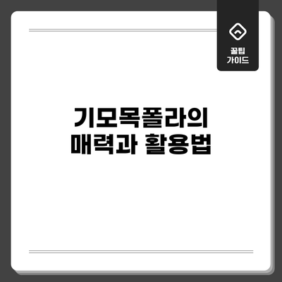 기모목폴라의 매력과 활용법