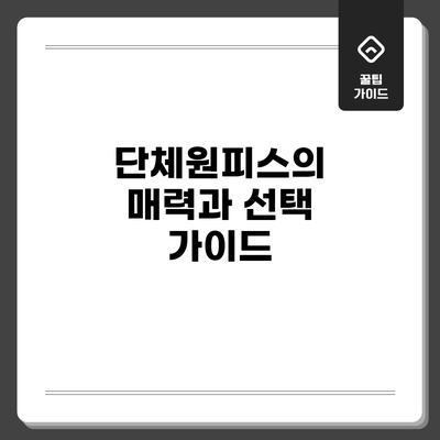 단체원피스의 매력과 선택 가이드