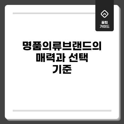 명품의류브랜드의 매력과 선택 기준