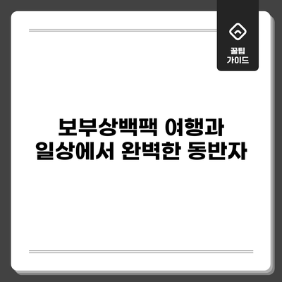 보부상백팩: 여행과 일상에서 완벽한 동반자