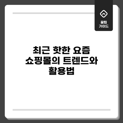 최근 핫한 요즘 쇼핑몰의 트렌드와 활용법