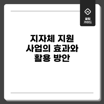 지자체 지원 사업의 효과와 활용 방안