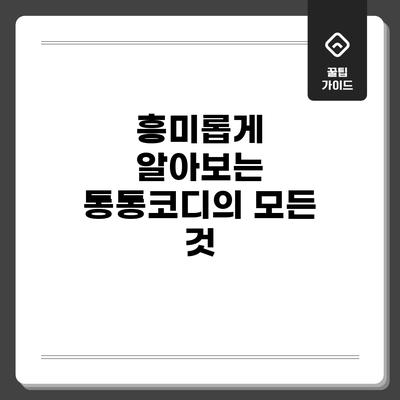흥미롭게 알아보는 통통코디의 모든 것